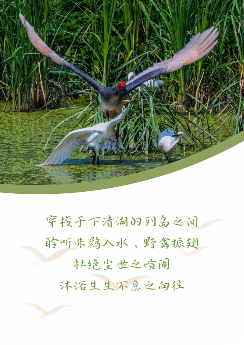 心心念廿 相伴z6尊龙官方网站 | 与德清相约 贺廿载诞辰